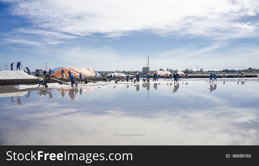 SALT FIELD