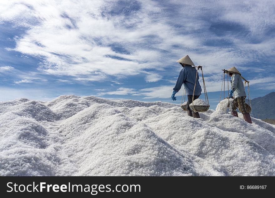 SALT FIELD