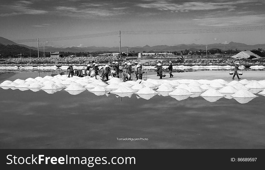 SALT FIELD