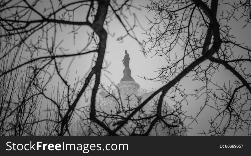 The Statue of Freedom atop the scaffold-covered dome of the United States Capitol in Washington, DC is viewed through tree branches at the height of the &#x27;Snowzilla&#x27; blizzard, in the early morning hours of January 23, 2016. Dedicated to the public domain with a CC0 license. The Statue of Freedom atop the scaffold-covered dome of the United States Capitol in Washington, DC is viewed through tree branches at the height of the &#x27;Snowzilla&#x27; blizzard, in the early morning hours of January 23, 2016. Dedicated to the public domain with a CC0 license.