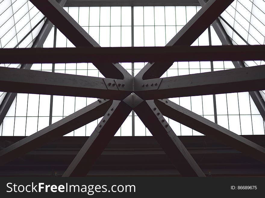 Francis Ford Coppola Winery Ceiling