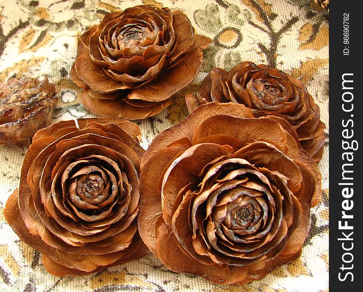 pine cone roses 3