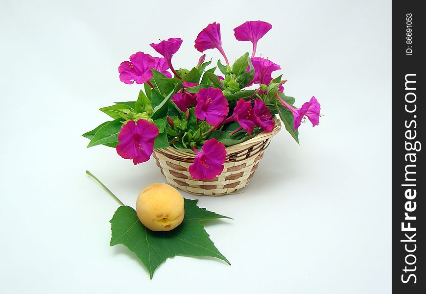 Wicker basket with flowers and apricot on a green leaf. Wicker basket with flowers and apricot on a green leaf