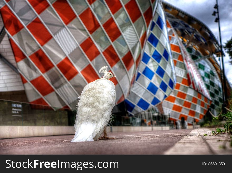 Fondation d&#x27;entreprise Louis Vuitton Louis Vuitton Foundation Architect Frank Gehry Location: Jardin d&#x27;acclimatation, Bois de Boulogne, Paris. Fondation d&#x27;entreprise Louis Vuitton Louis Vuitton Foundation Architect Frank Gehry Location: Jardin d&#x27;acclimatation, Bois de Boulogne, Paris.