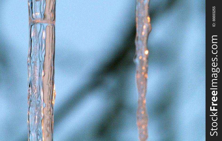 There were a bunch of icicles right in front of my door today, it was a bit scary to step under them, some look pretty sharp! It wasn&#x27;t easy to take this picture, my camera kept focusing on the tree branches behind the icicles. I had to move around quite a bit before it agreed to focus on them. x&#x29;. There were a bunch of icicles right in front of my door today, it was a bit scary to step under them, some look pretty sharp! It wasn&#x27;t easy to take this picture, my camera kept focusing on the tree branches behind the icicles. I had to move around quite a bit before it agreed to focus on them. x&#x29;