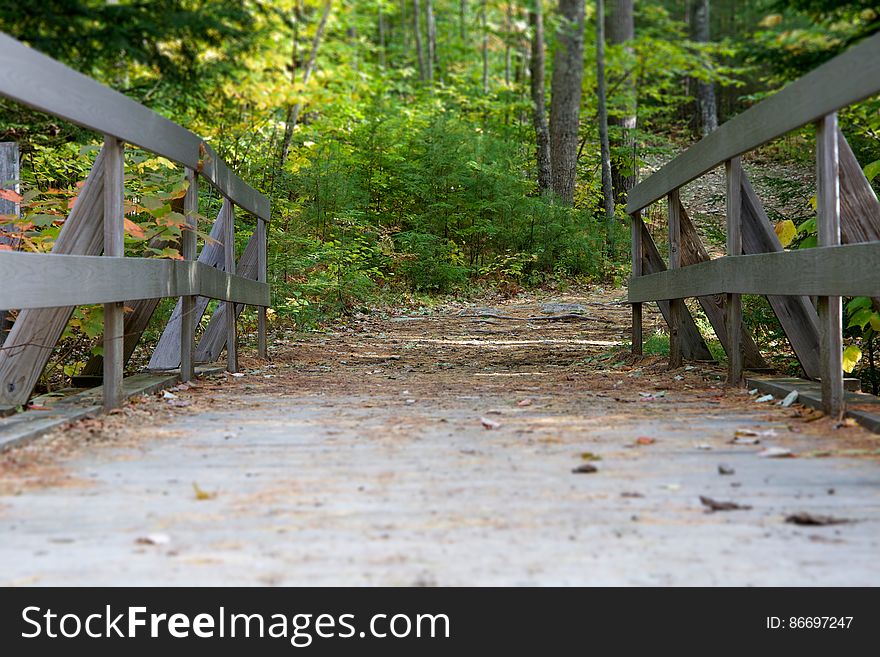 Wooden railing on bridge in sunny forest. Wooden railing on bridge in sunny forest.