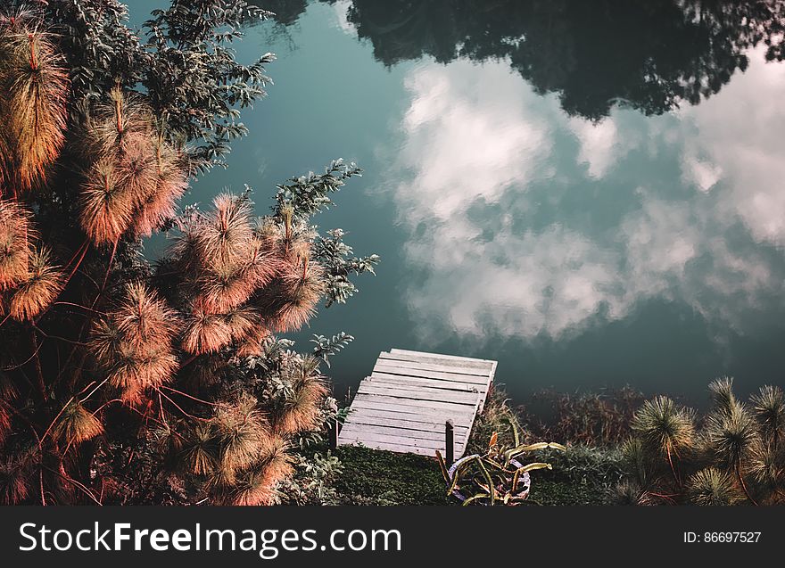 Scenic view of clouds reflecting on lake in countryside surrounded by plants. Scenic view of clouds reflecting on lake in countryside surrounded by plants.