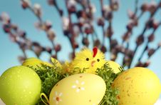Chicken And Eggs Royalty Free Stock Image Chicken And Eggs Royalty Free Stock Image