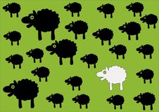 Sheep Stock Images Sheep Stock Images