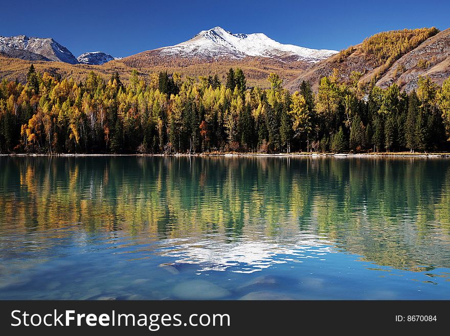 Forest and Mountain reflecting in a lake. Forest and Mountain reflecting in a lake.