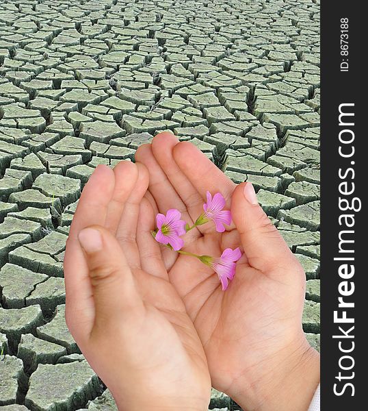 Child holding the flowers, arid region of the background. Child holding the flowers, arid region of the background