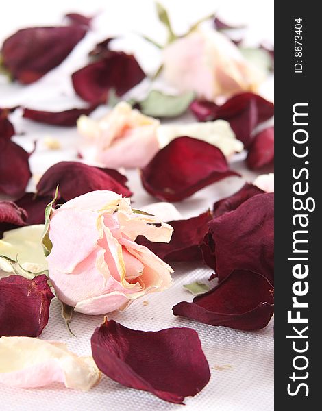 The heap dried up has raised petals on a grey background. The heap dried up has raised petals on a grey background.