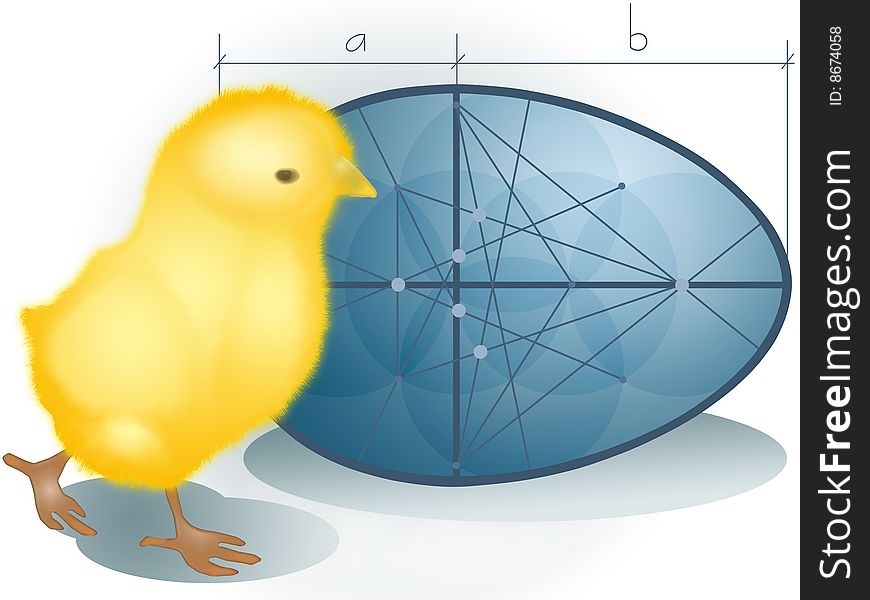 The chicken exploring geometric design of the egg, drawing photoshop. The chicken exploring geometric design of the egg, drawing photoshop