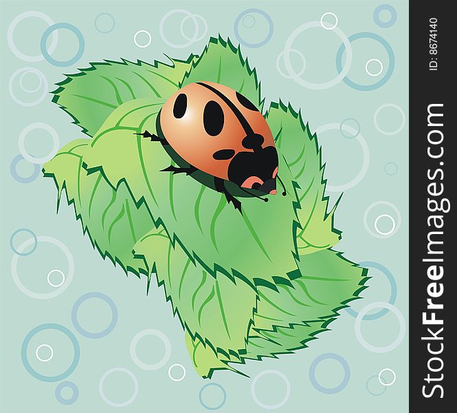 Cute ladybird on leaf -  illustration