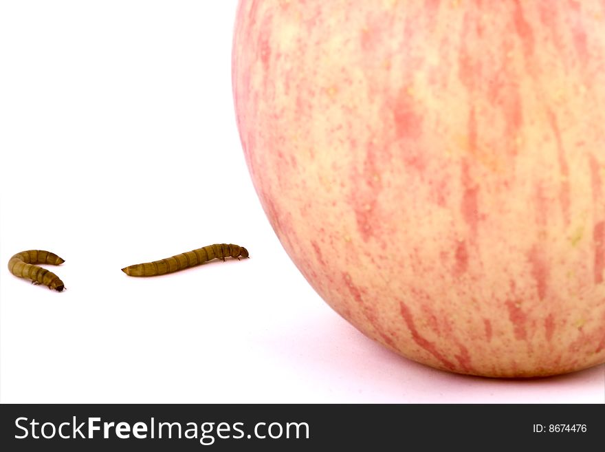 Apple and worm on white background