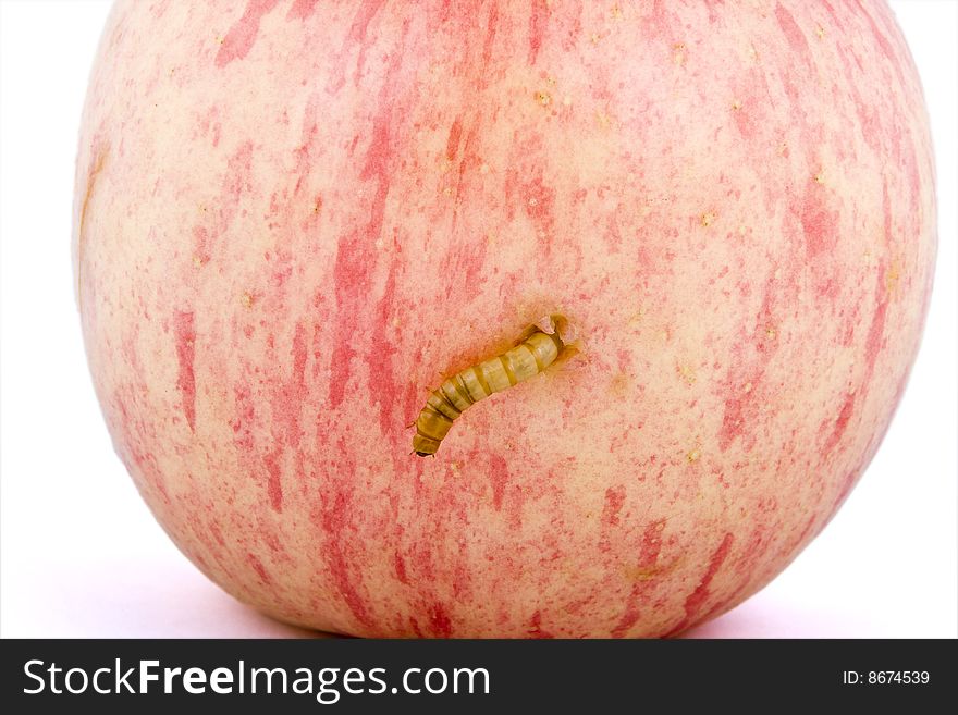 Apple and worm on white background