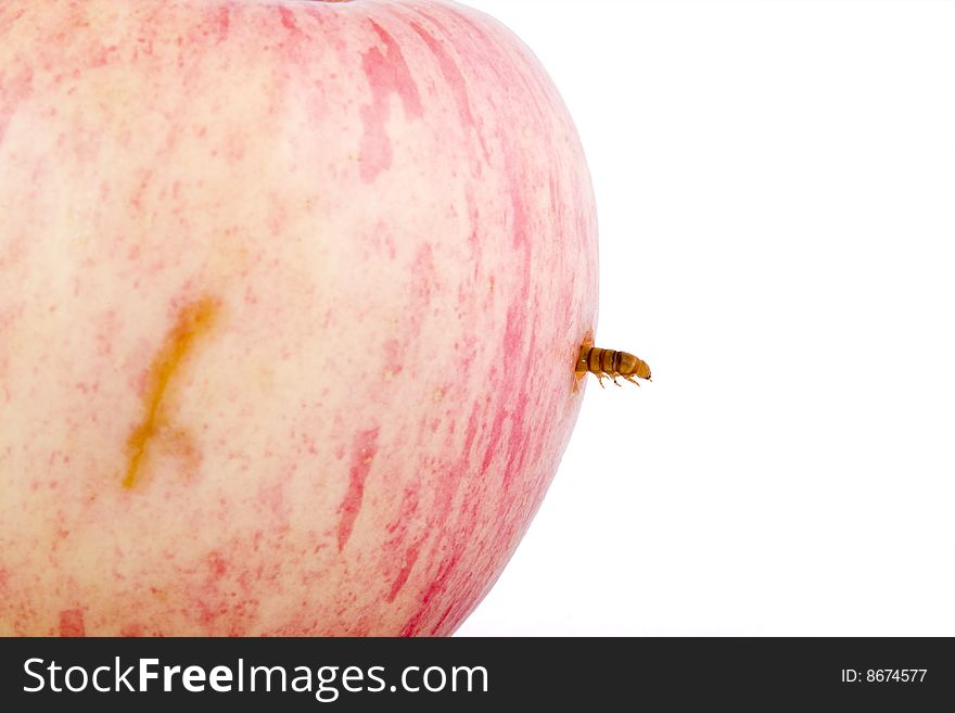 Apple and worm on white background