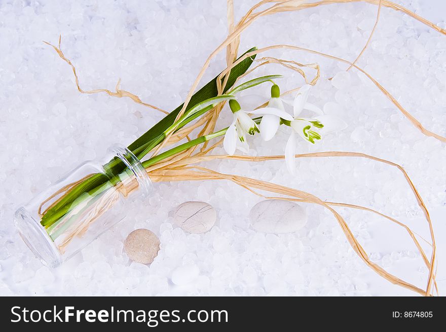 Picture of snowdrops in a small vase. Picture of snowdrops in a small vase.