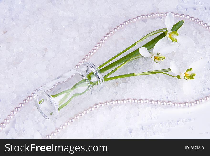 Picture of snowdrops in a small vase. Picture of snowdrops in a small vase