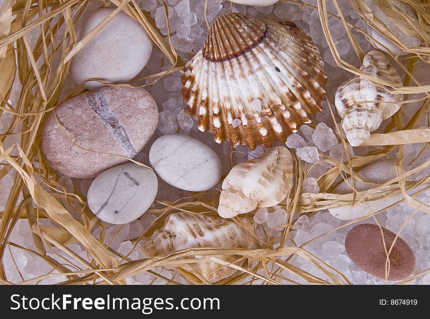 Picture of stones and shells