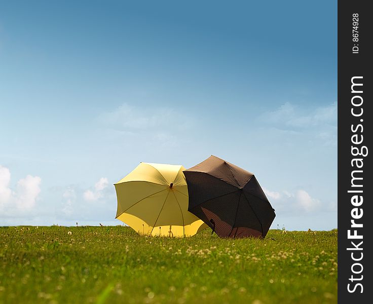 Two Umbrellas On A Sunny Meadow