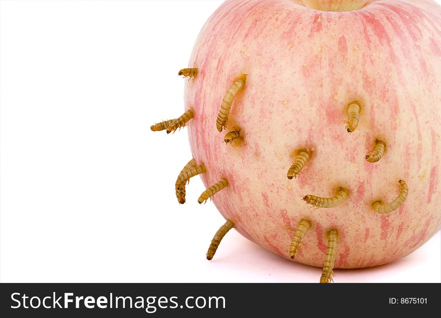 Apple and worm on white background