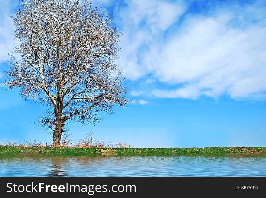 Beautiful river side landscape picture with tree reflection