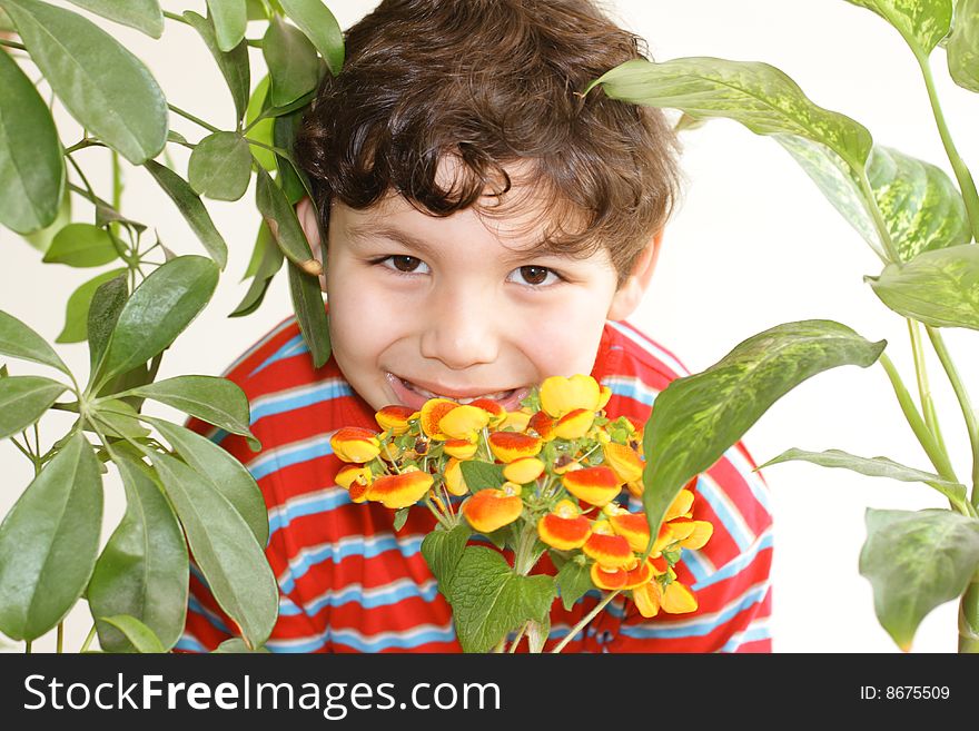 Small boy with a bouquet of flowers on a white background. Small boy with a bouquet of flowers on a white background
