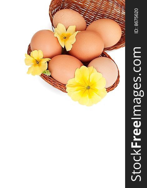 Eggs in a basket with yellow spring flowers, isolated over white, in the corner of the image with empty space for some text. Eggs in a basket with yellow spring flowers, isolated over white, in the corner of the image with empty space for some text