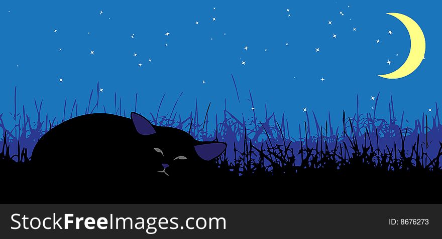 Sleeping cat under the moon, vector illustration