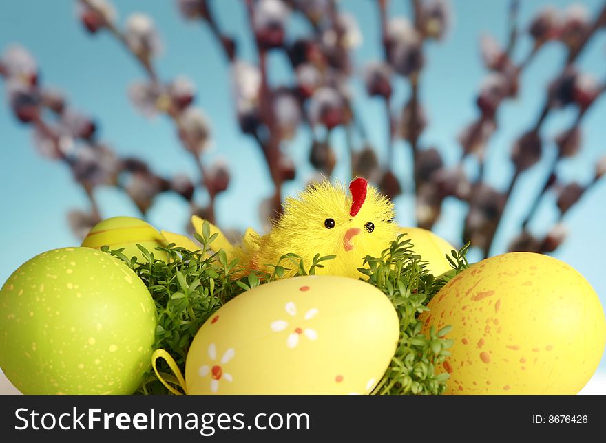 Chicken and eggs on the blue sky background, easter season, colored eggs