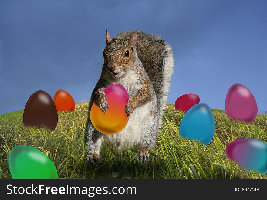 Easter eggs squirrel carrying, a colored egg. Easter eggs squirrel carrying, a colored egg.