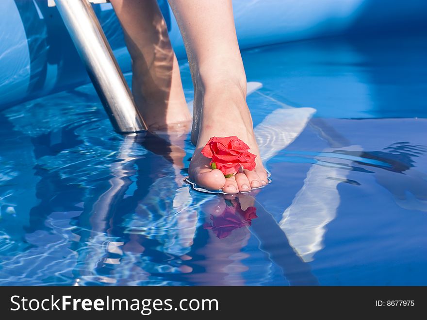 Leg in pool with a rose