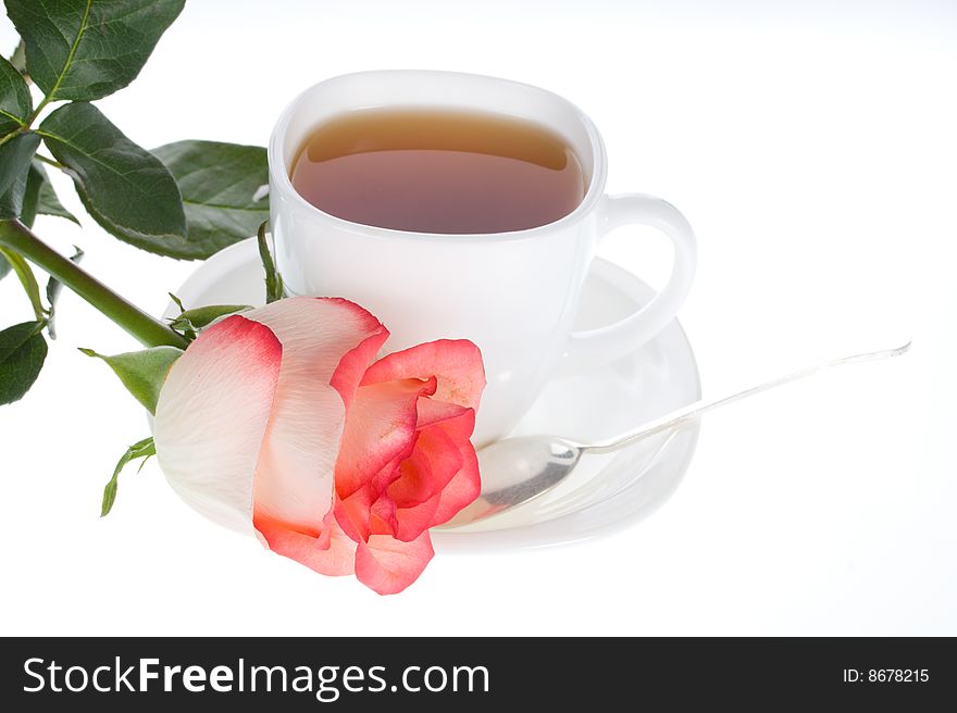 Close-up rose and cup of tea, isolated on white. Close-up rose and cup of tea, isolated on white