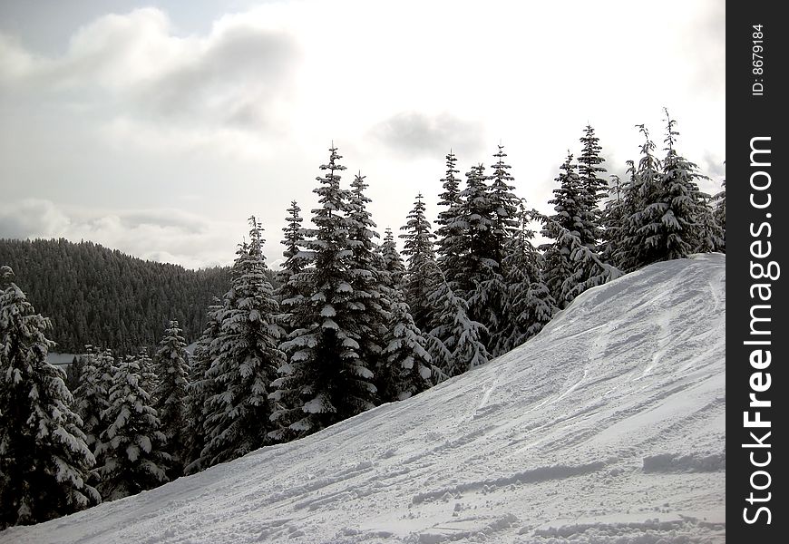 Fresh skied snow in a sunny day at Cypress mountain. Fresh skied snow in a sunny day at Cypress mountain