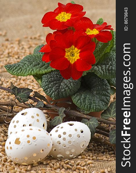 Easter retirement,red primrose and Easter egg. Easter retirement,red primrose and Easter egg.
