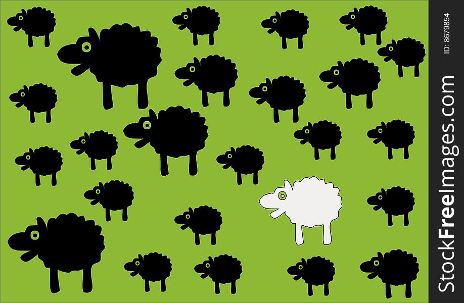 Sheep