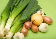 Onion Family Royalty Free Stock Photos Onion Family Royalty Free Stock Photos