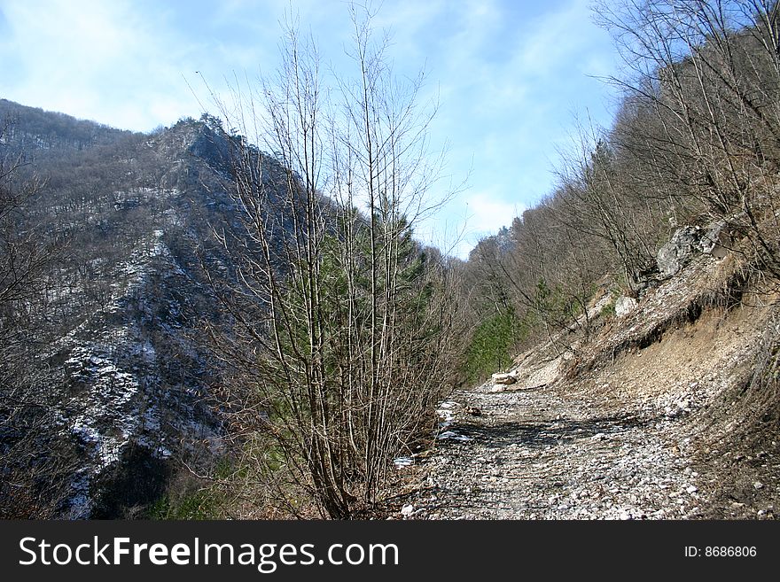 Panorama of tara mountain, west serbia