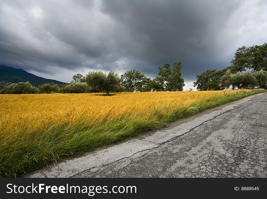 Cloudy Sky