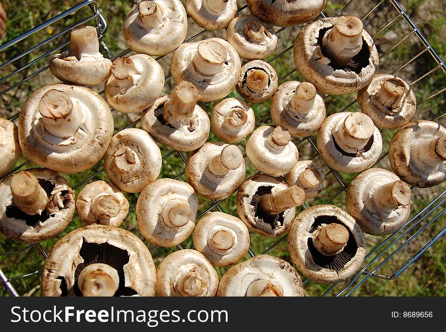 Field mushrooms in the basket