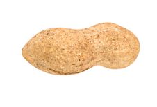 Peanut Royalty Free Stock Images Peanut Royalty Free Stock Images