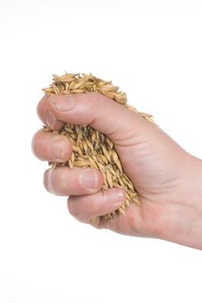 Handful Of Oats Stock Photos