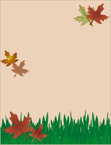 Fallen Leaves Royalty Free Stock Photography Fallen Leaves Royalty Free Stock Photography