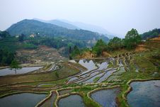 Rice Terraced Fields Landscape In China Stock Photo Rice Terraced Fields Landscape In China Stock Photo