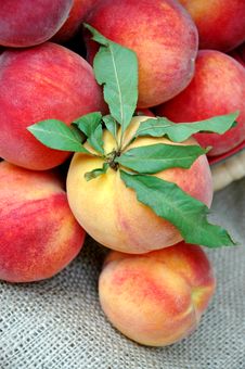 Closeup Of Fresh Peaches Stock Photography Closeup Of Fresh Peaches Stock Photography