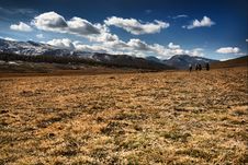 Meadow And Mountains Royalty Free Stock Image Meadow And Mountains Royalty Free Stock Image