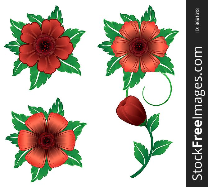 Red flower collection. vector illustration. Red flower collection. vector illustration