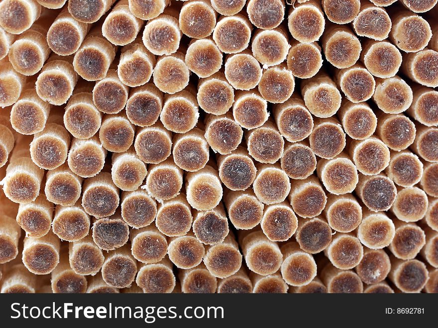 Close-up stack of toothpicks