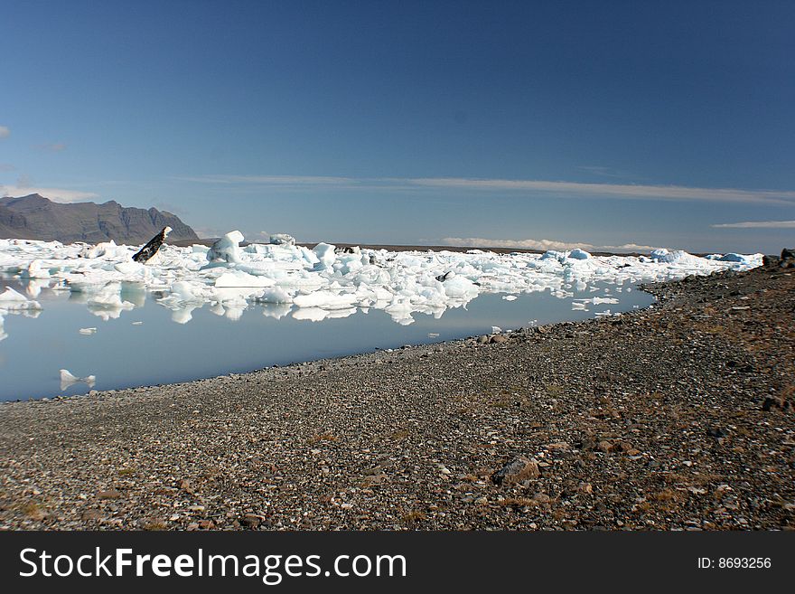 Icebergs from a lake in Iceland next to a pebble beach. Icebergs from a lake in Iceland next to a pebble beach